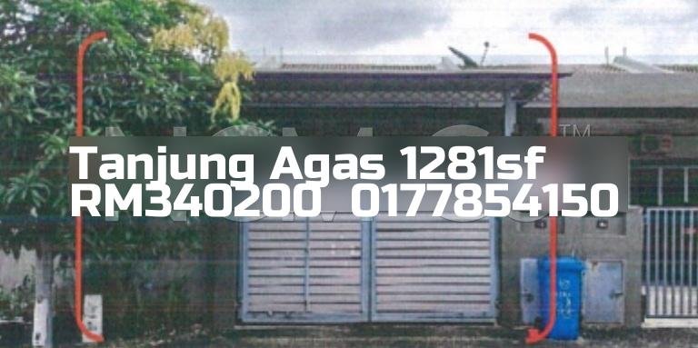 Tanjung Agas