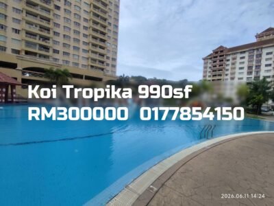 Koi Tropika