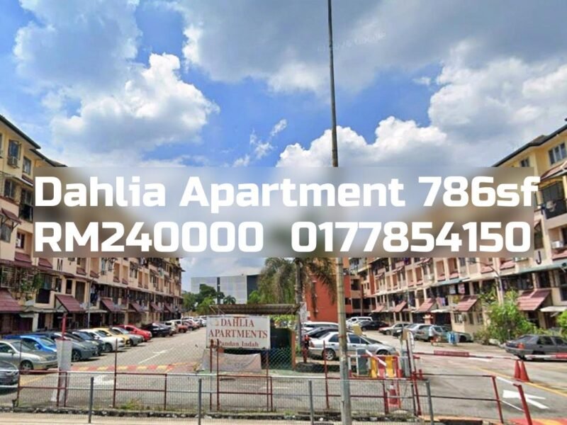 Dahlia Apartment