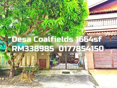 Desa Coalfields