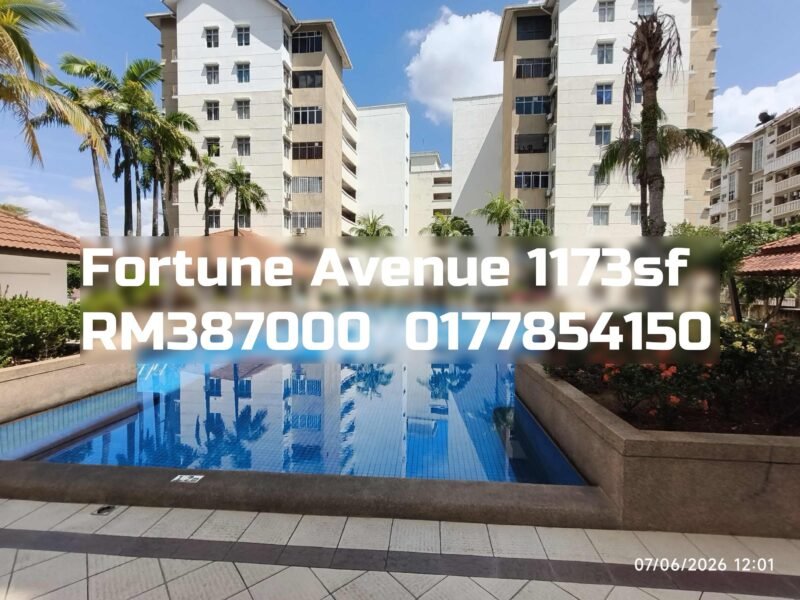 Fortune Avenue