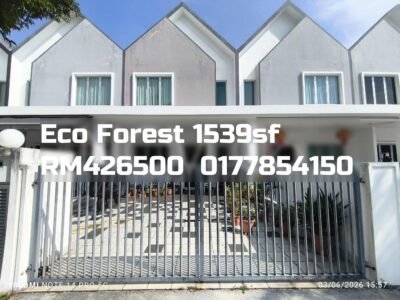 Eco Forest