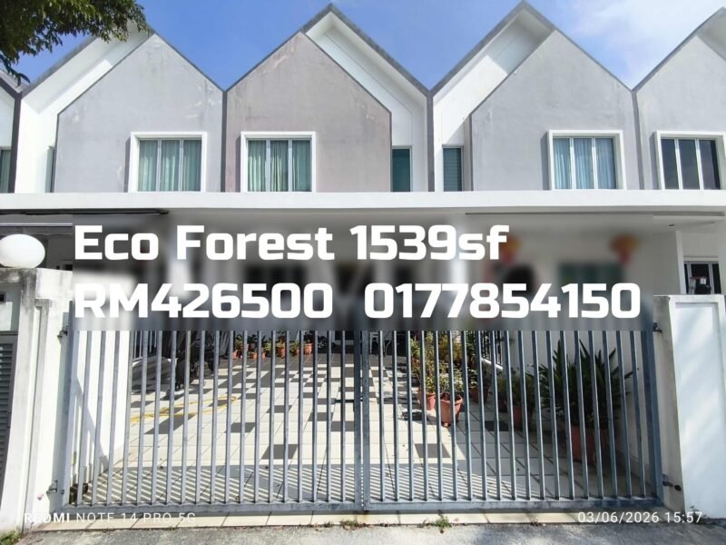 Eco Forest