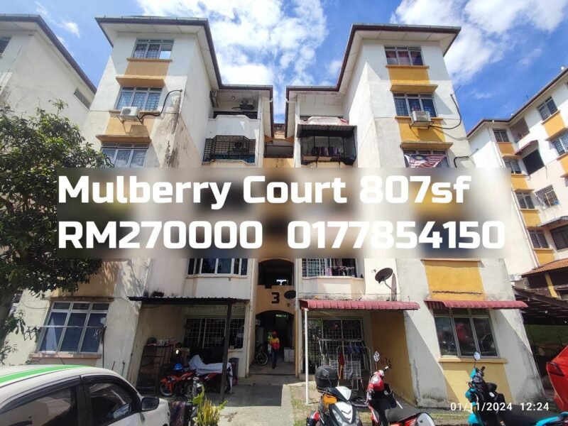 Mulberry Court