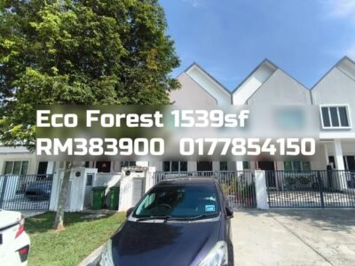 Eco Forest
