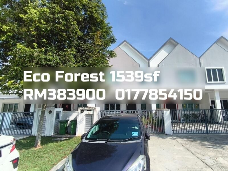Eco Forest