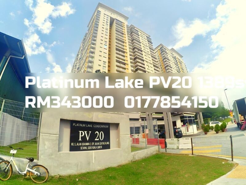 Platinum Lake PV20