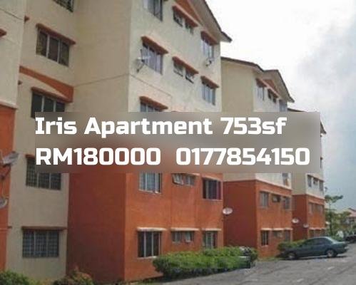 Iris Apartment
