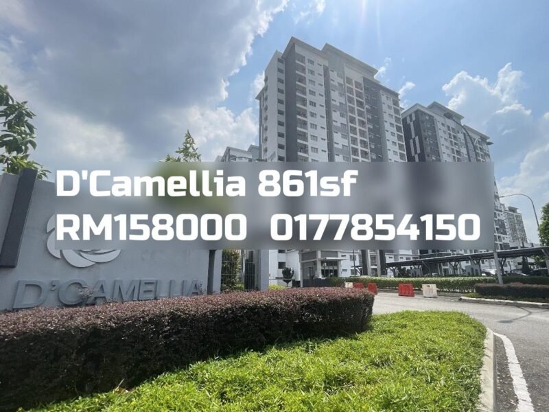 D'Camellia