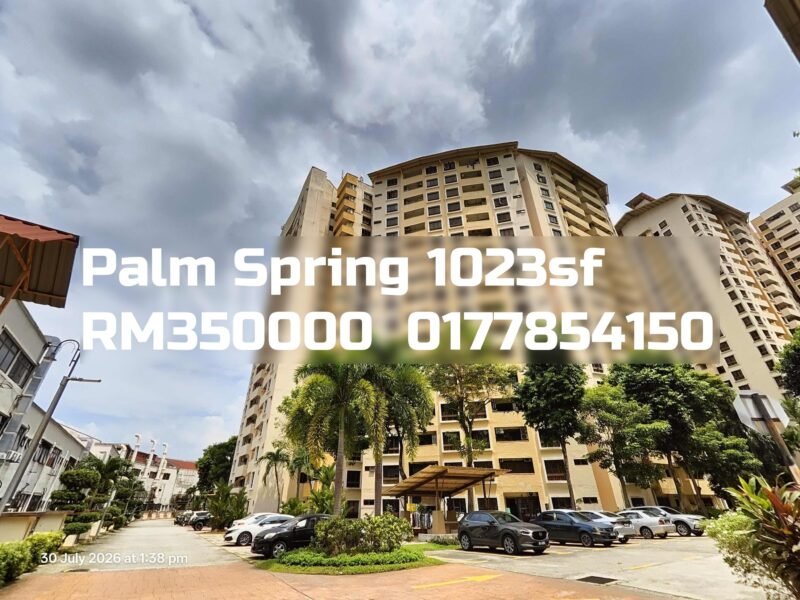 Palm Spring