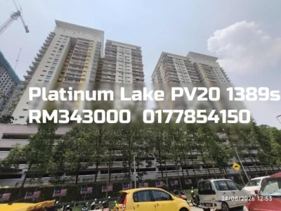 Platinum Lake PV20