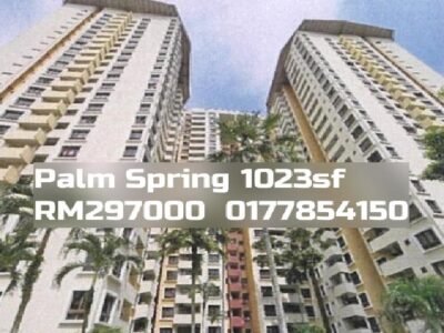 Palm Spring