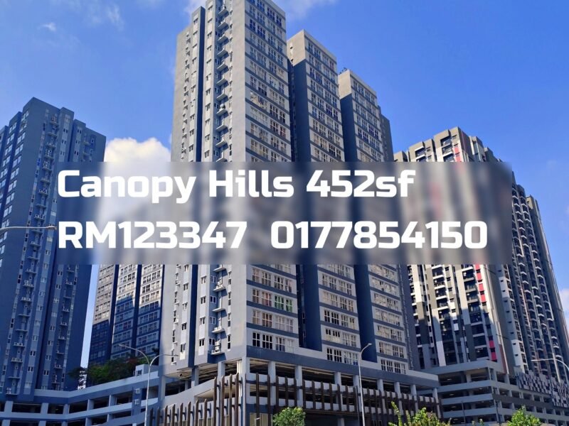 Canopy Hills