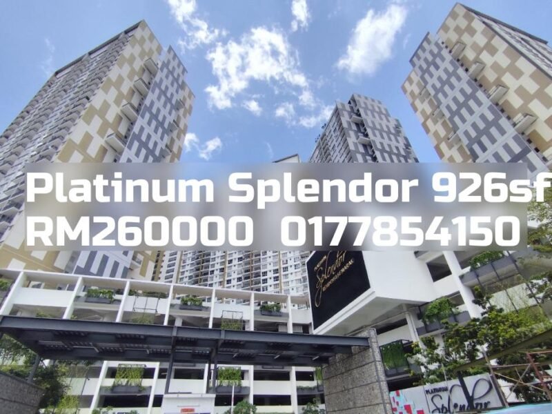 Platinum Splendor
