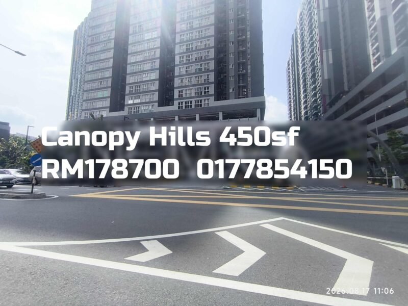 Canopy Hills