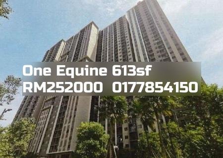 One Equine