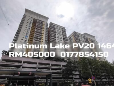 Platinum Lake PV20