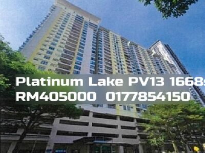 Platinum Lake PV13